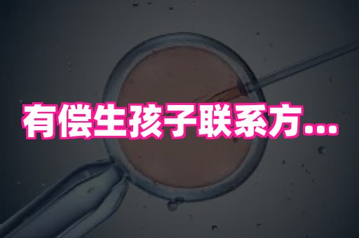 福建助孕网 2